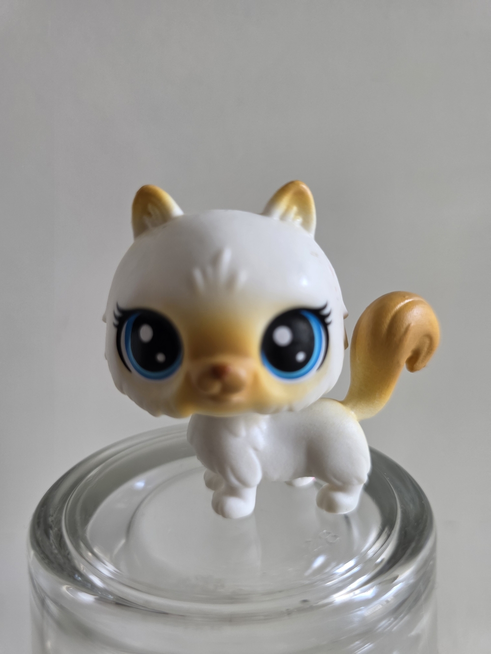 3/$22 HIMALAYAN CAT #1-104 - Authentic Littlest Pet Shop - Hasbro LPS